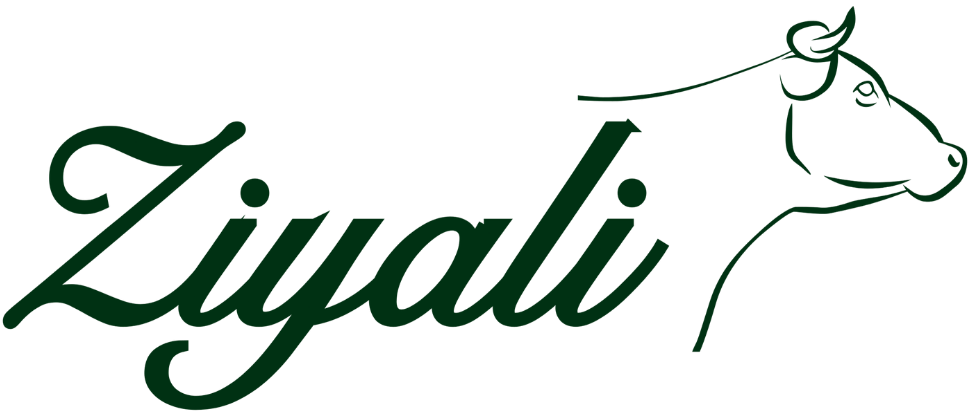 Ziyali
